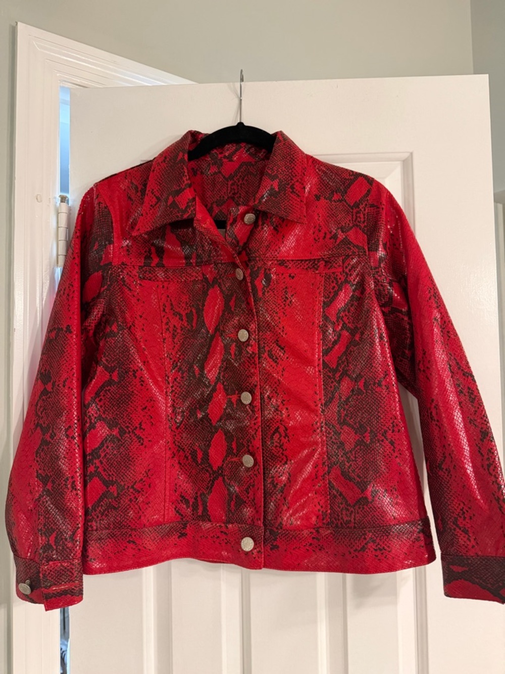 D&G Dolce & Gabbana 2-Piece Set Jeans + Jacket | Snake Print | Unverified Auth - Picture 5 of 14